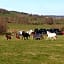 B&B La ferme du Château de Broich