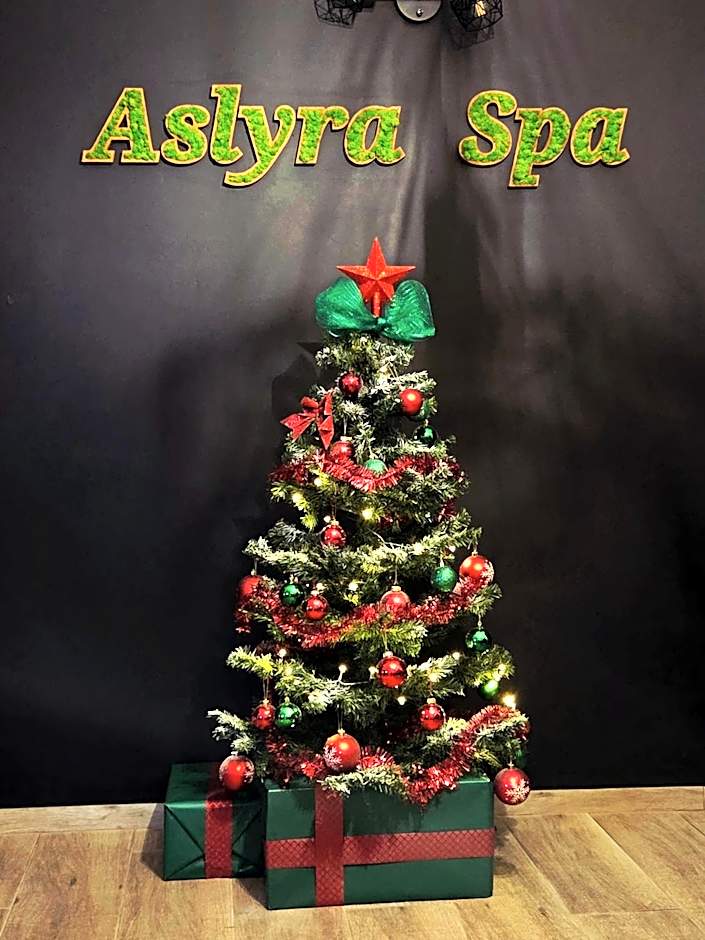 Aslyra "Appart-hôtel"