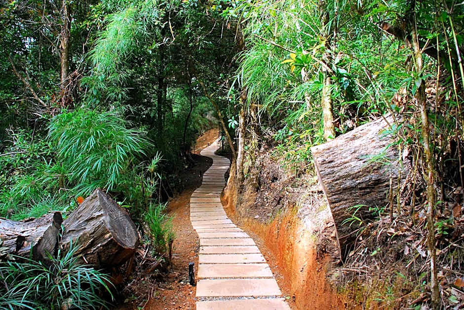 Dantica Cloud Forest Lodge