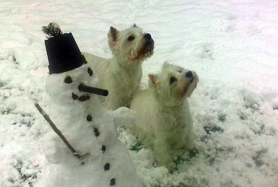 Alpenhotel Tauernstüberl