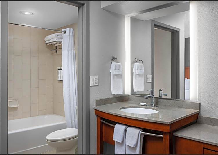 Hyatt Place Atlanta Airport-South