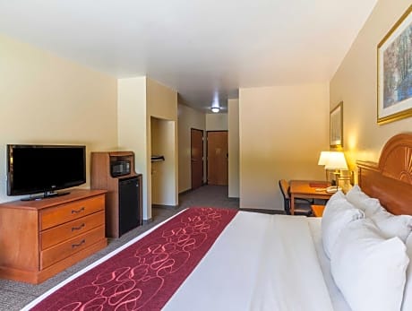 1 King Bed, Non-Smoking, Flat Screen Television, Microwave And Refrigerator, High Speed Internet Acc