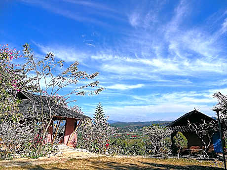 ClayCraft Coffee Gallery Homestay