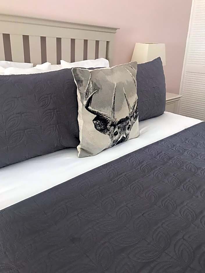 Queenshead Hotel Kelso