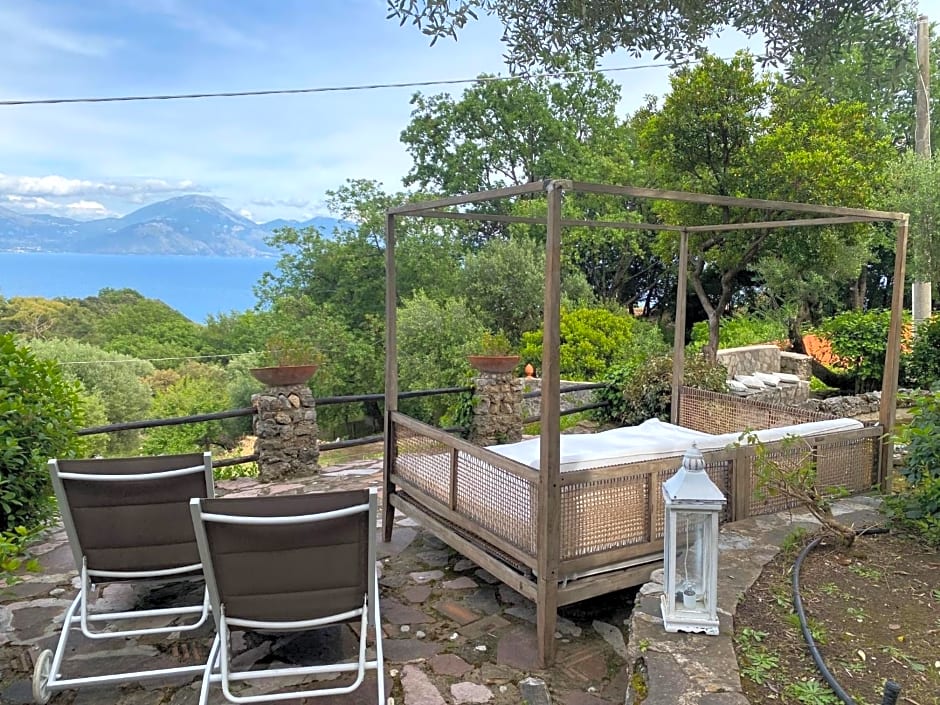 Maison Du Reve Scario