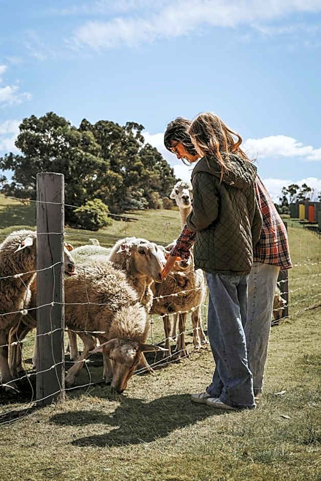 Iron Creek Bay Estate