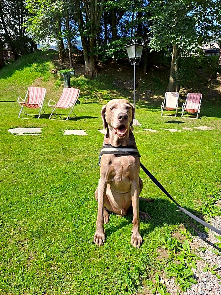 Hotel Garni St. Hubertus