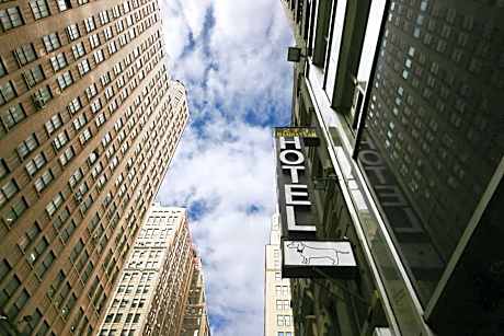Doxie Hotel