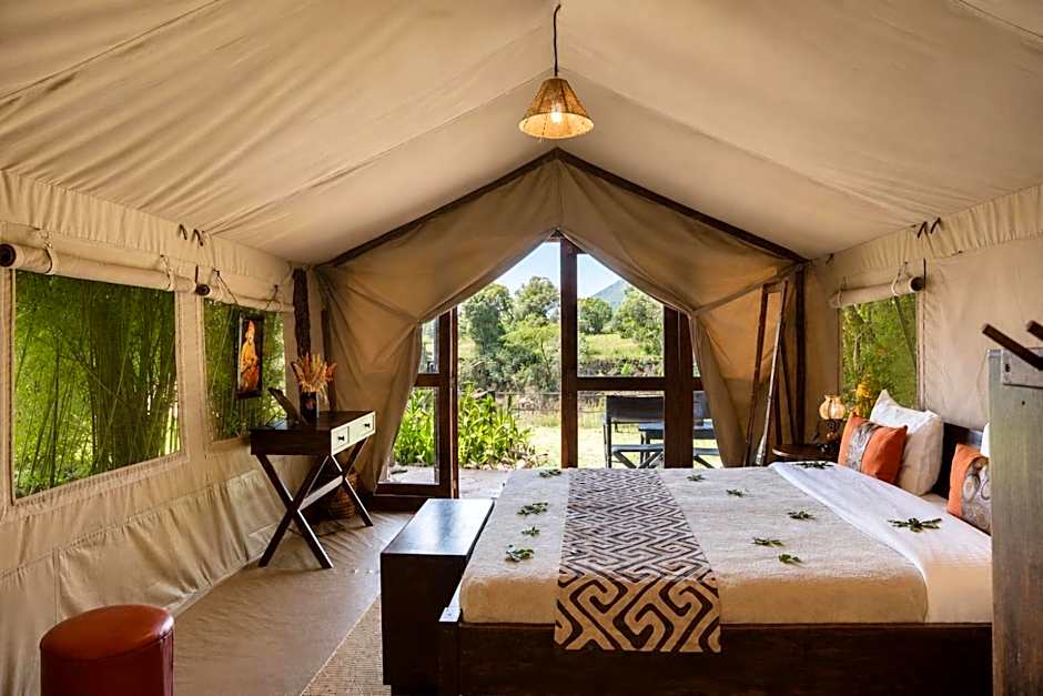 Photo 1 of 5 of Superior Tent