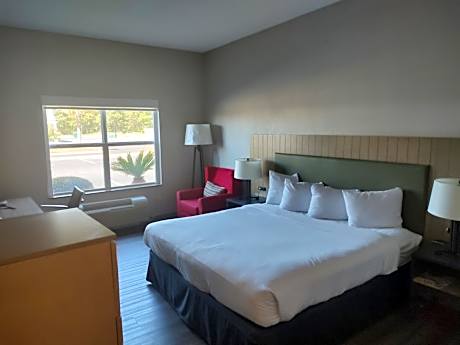 Executive King Room - Non-Smoking