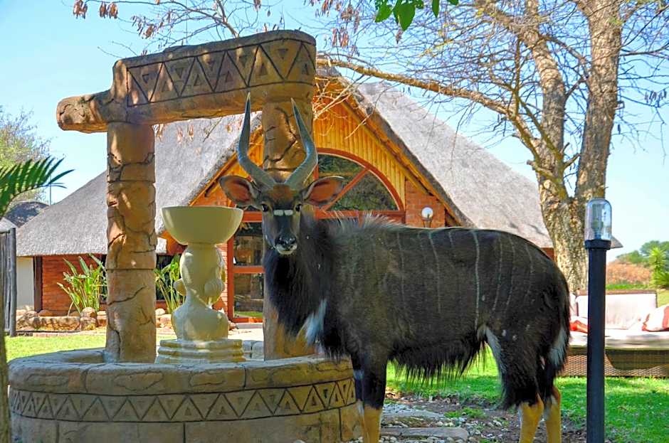 Ditholo Game Lodge Bela Bela