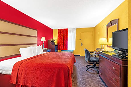 King Room with Roll-In Shower - Disability Access