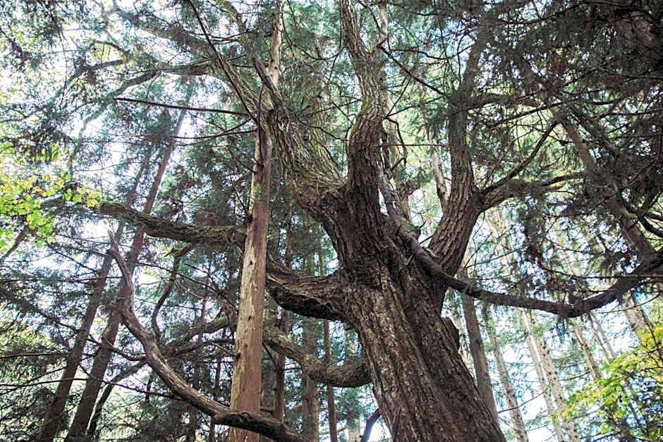 LA TERRA NAGANOーVacation STAY 80689v