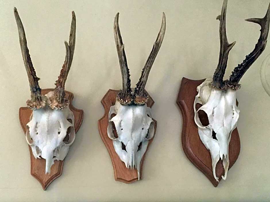 Arthotel Restaurant Pfeffermühle