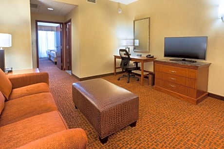King Suite with Sofa Bed