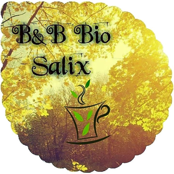 Bed and Breakfast Bio Salix
