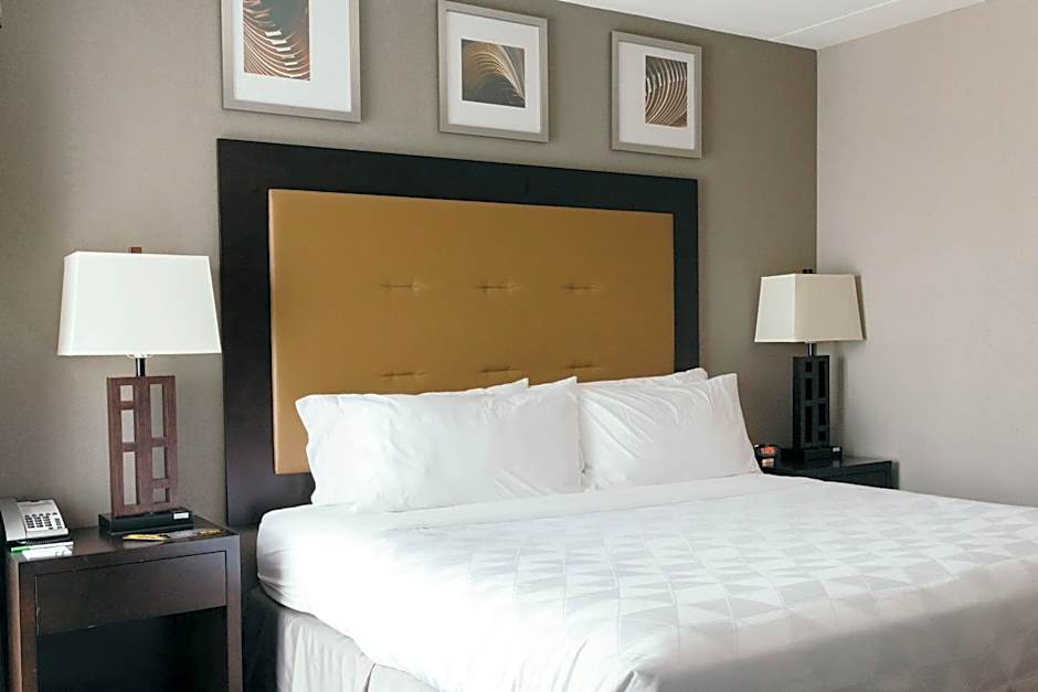 Holiday Inn and Suites East Peoria By IHG