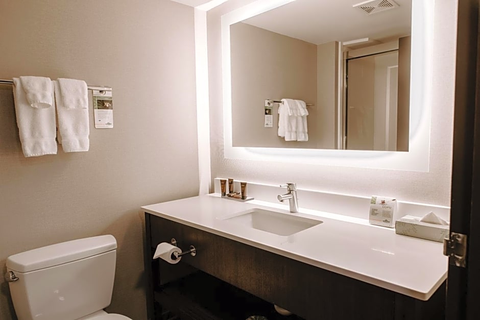 Wingate by Wyndham - Dulles International