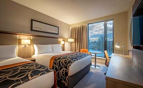 Deluxe Double and Single Room- Capacity 3