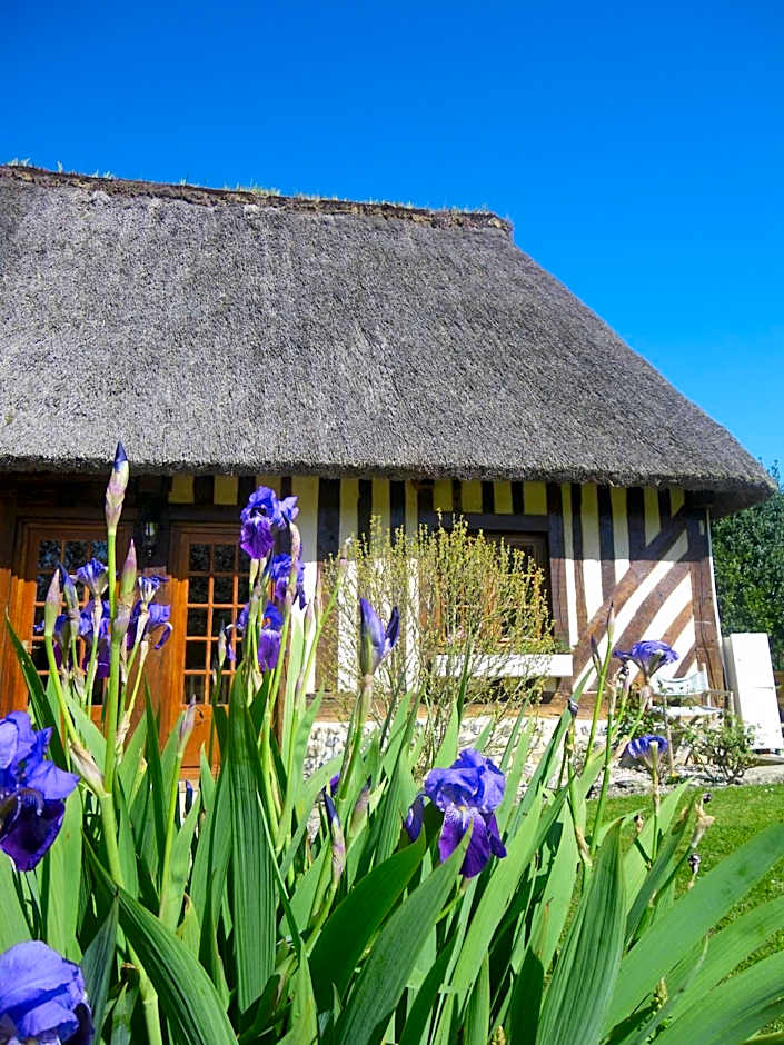 La Griotte & Spa&Piscine