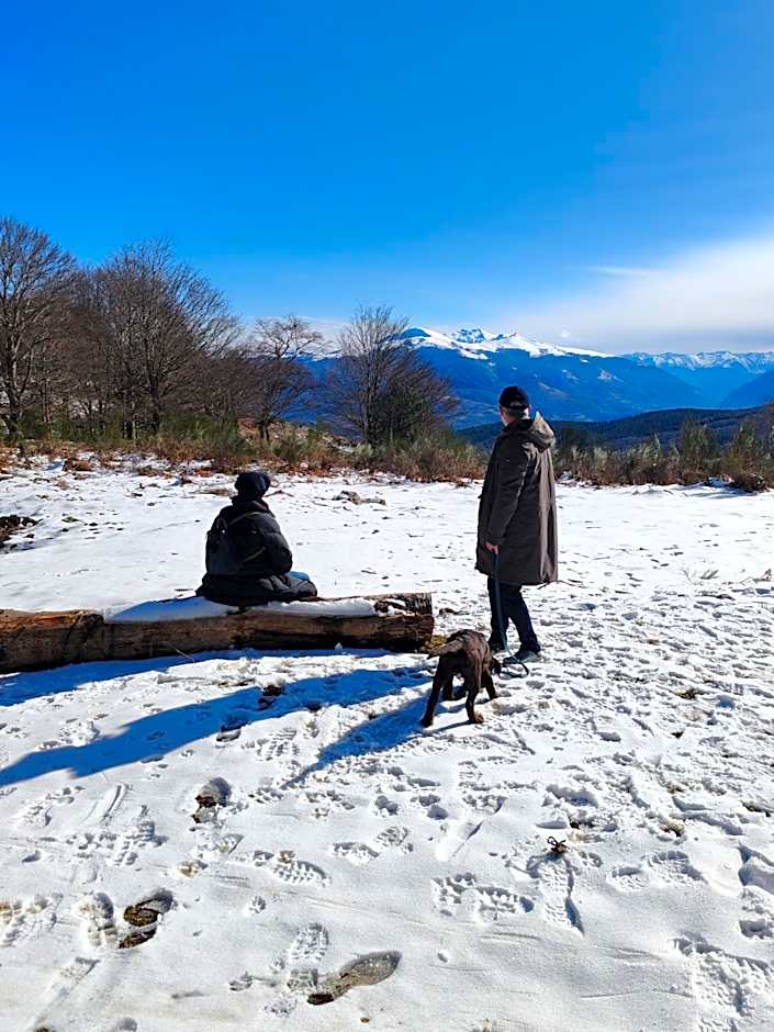 Logis Hotel Restaurant LA BARGUILLERE