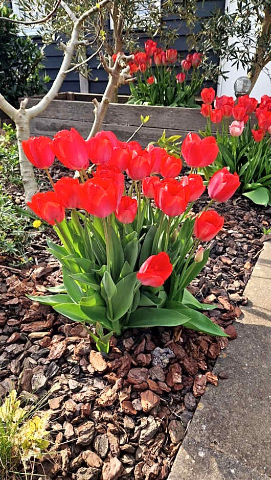 Bed & Breakfast Donna