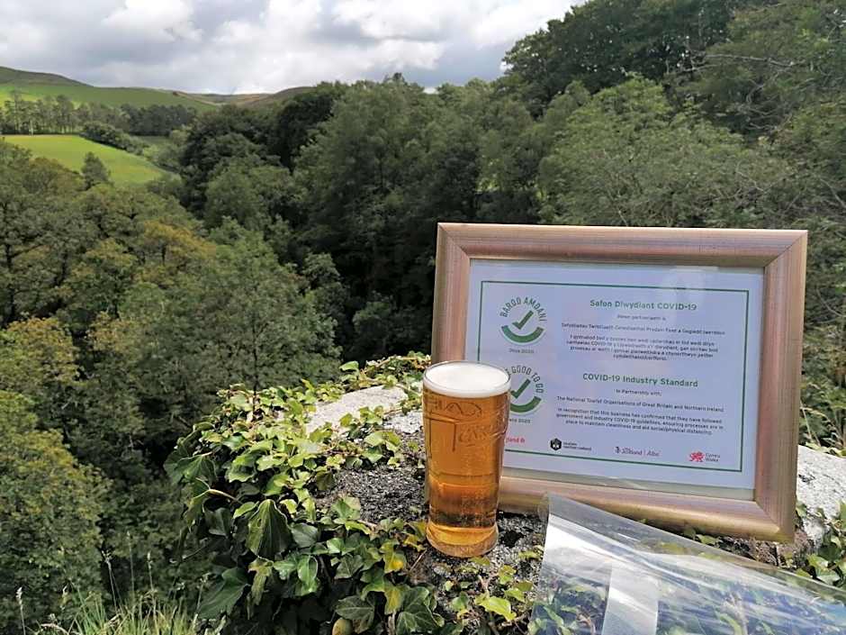 The George Borrow Hotel