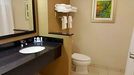 Suite, 1 King Bed with Sofa bed, Non Smoking (1 King Bed and 1 Double Sofa Bed)