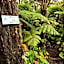 Hale 'Ohu Bed & Breakfast