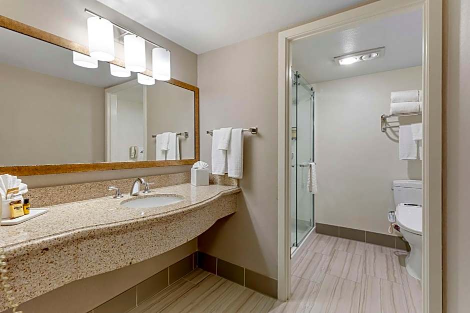 Best Western Plus Executive Inn