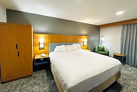 Suite - King Bed Accessible Non Smoking