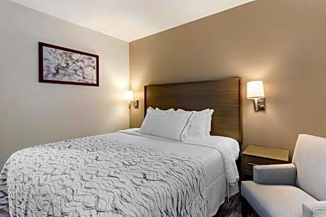 Deluxe King Room Disability Access Roll-In Shower Smoke Free