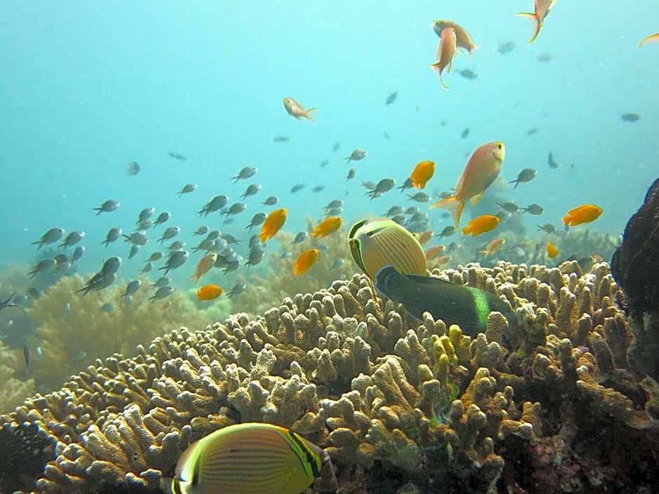 Oma In Pemuteran Bali
