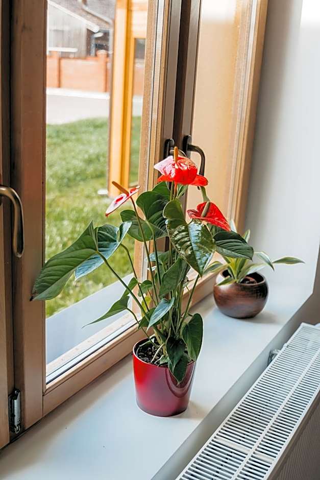 Pansion Mihića dvori