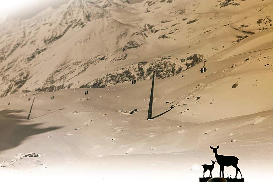 Hotel Petit Tournalin