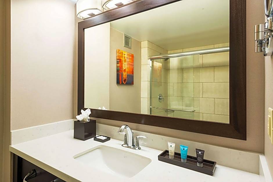 Sonesta Atlanta Airport North