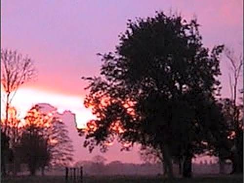 The Stables at Henham Park