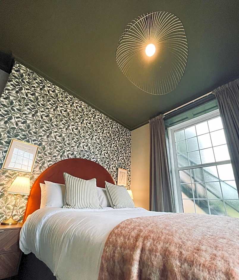 Photo 1 of 6 of Superior 1 King Bed