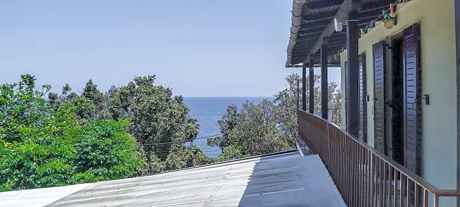 SunRiseStudiosPapanero