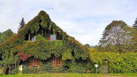 Hotel und Freizeitanlage Rauch-Hof