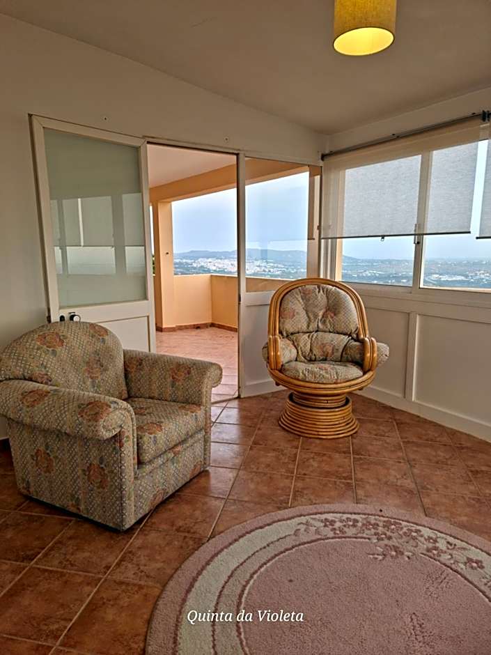 Villa Quinta da Violeta