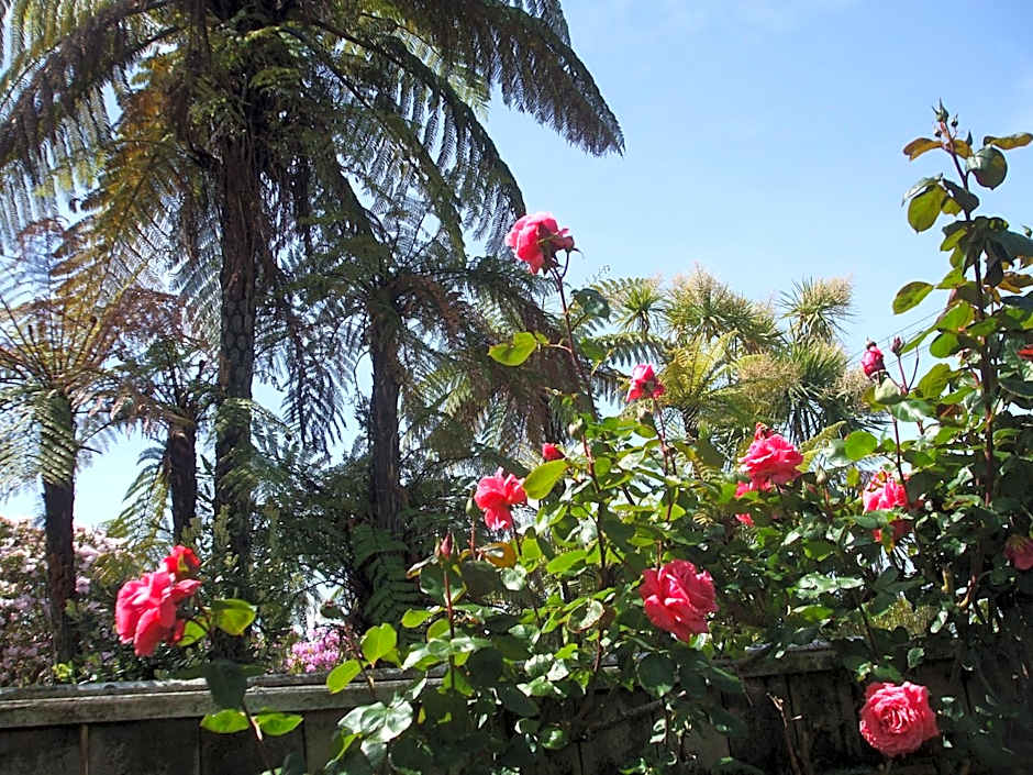 Havenlee Homestay