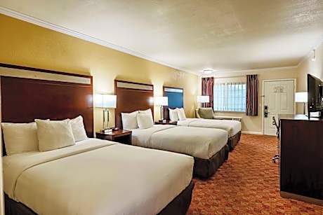 Room with Three Double Beds - Non-Smoking