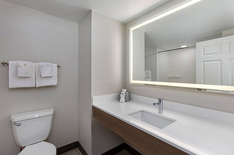 Holiday Inn Express & Suites Columbus at Northlake By IHG