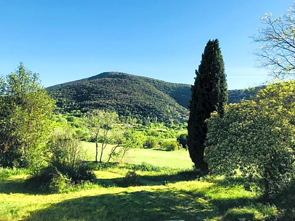 Domaine Mas Pigné