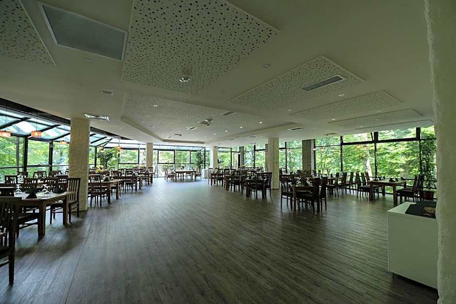 Hotel Posada Vidraru