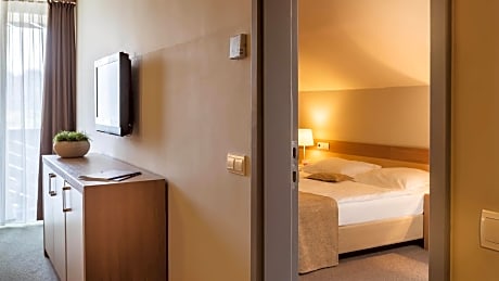 Standard suite without balcony