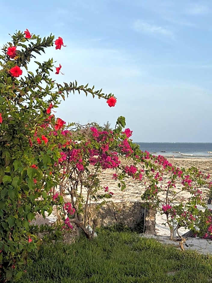Malcom Ocean View Retreat