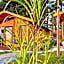 Kantadaj Village Domki Prestige