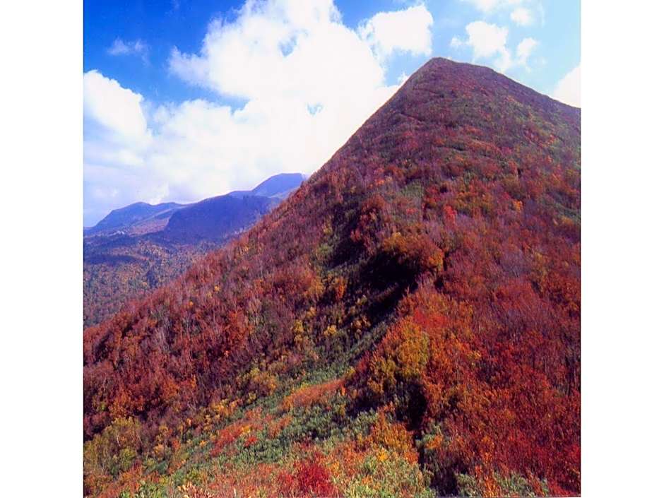 Oyasukyo Onsen Ryokan Tarobee - Vacation STAY 56764v
